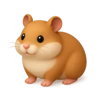 Hamster