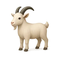 Goat