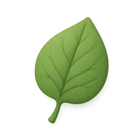 Leaf