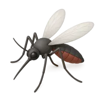 Mosquito