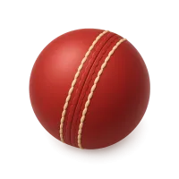 Cricket ball