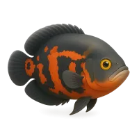 Oscar