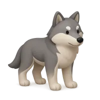 Wolf