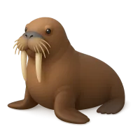 Walrus