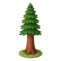 Redwood Tree