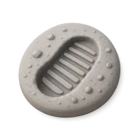 Lunar Dust Bootprint