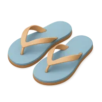 Flip-Flop