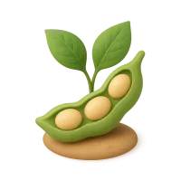Soybean