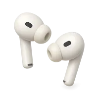 Earphones