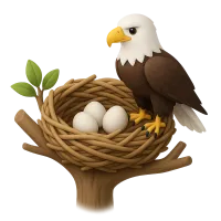 Eagle Nest