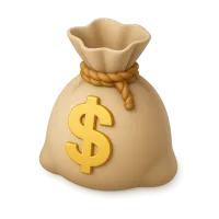 Money Bag