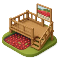 Cranberry Bog Visitor Deck