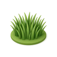 Grass