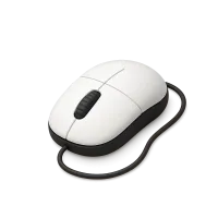 Computer Mouse