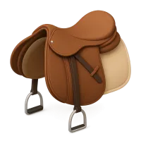 Horse Saddle