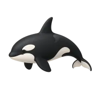 Orca