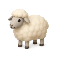 Sheep