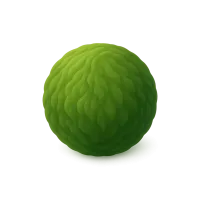 Moss Ball