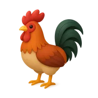 Rooster