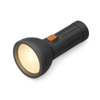 Torch