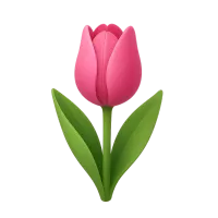 Tulip