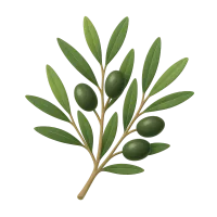 Olive Branch