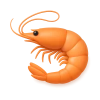 Shrimp