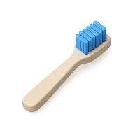 Toothbrush