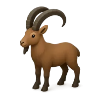 Ibex