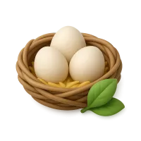 Nest