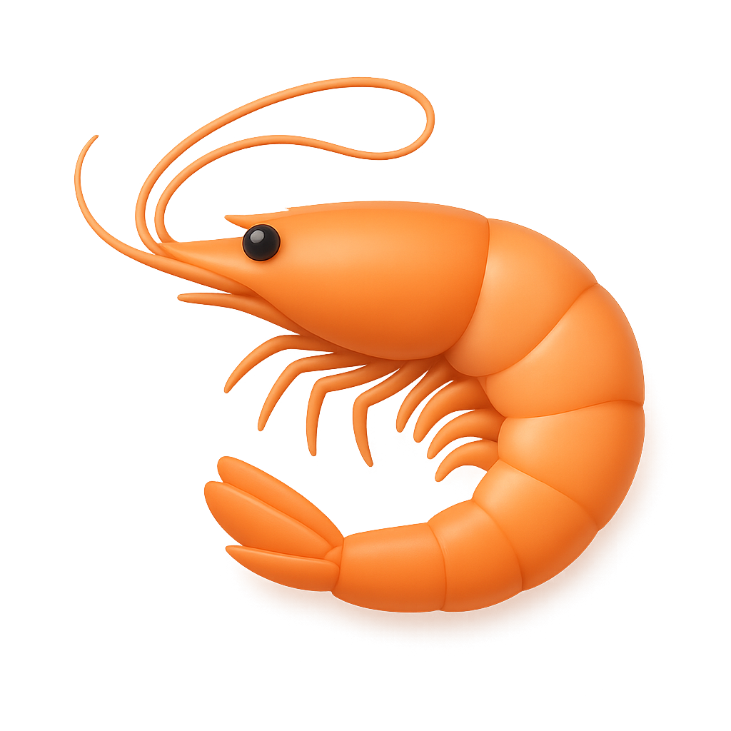 Shrimp
