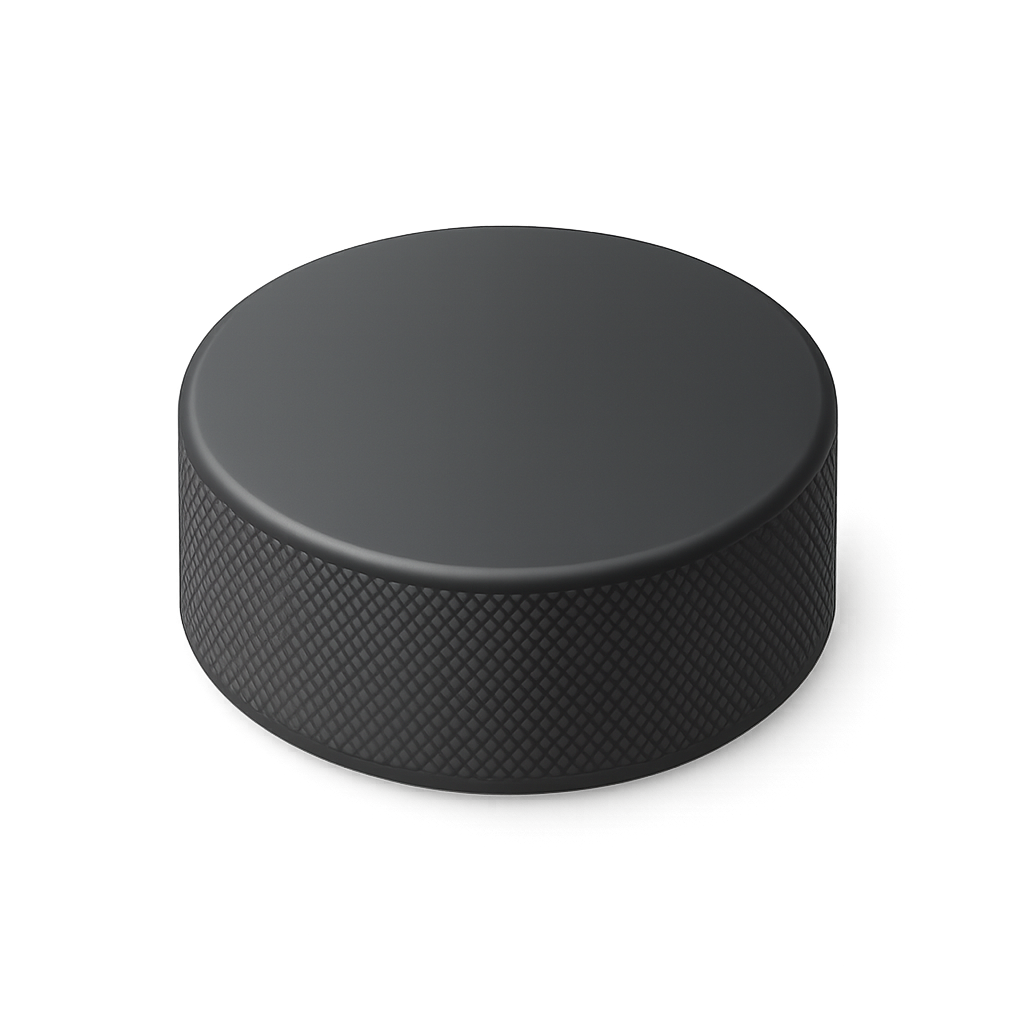 Hockey Puck